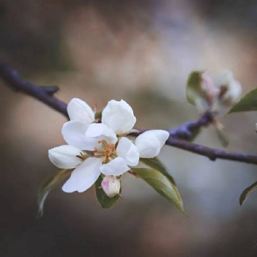 ستایش صادق زاده خورشید روح من را گرم می کند